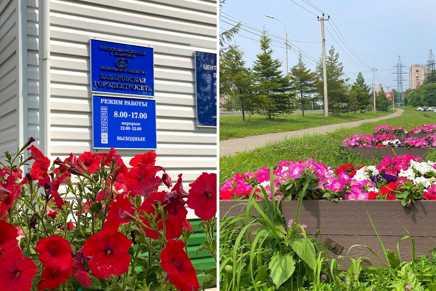 Ландшафтное благоустройство территории: творчество и сплоченность коллектива